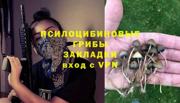 эйфоретик Алексин