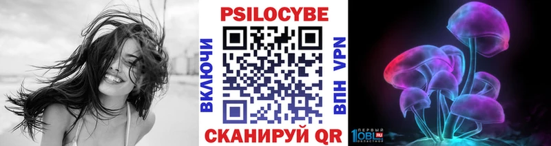Галлюциногенные грибы Psilocybe  Суджа 